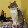 Отзыв от Тамара Швецова